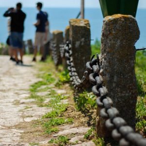 Read more about the article We rise by lifting others