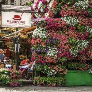 Read more about the article And so the adventure begins