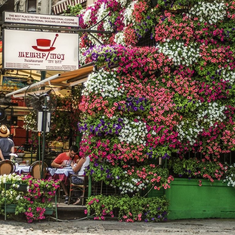 Read more about the article And so the adventure begins